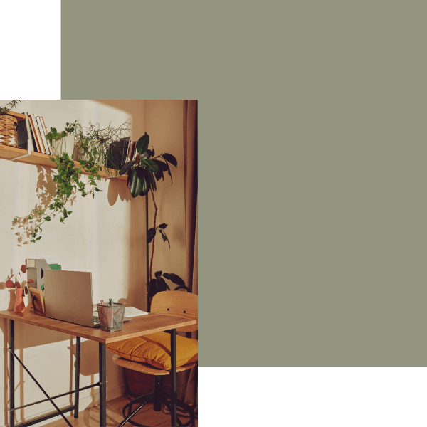 website vakantiehuis